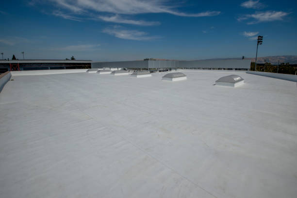 Best Commercial Roofing Services  in Warrensburg, MO