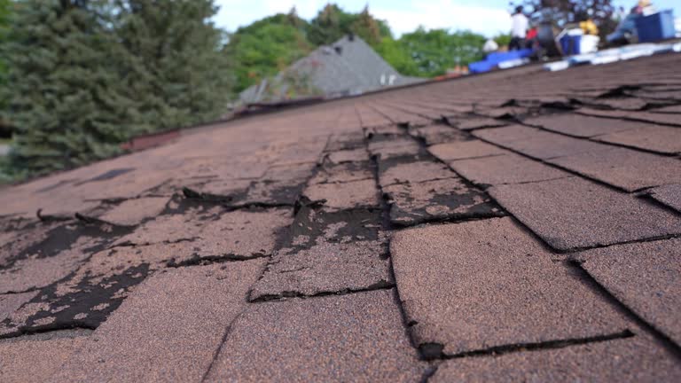 Best Flat Roofing  in Warrensburg, MO