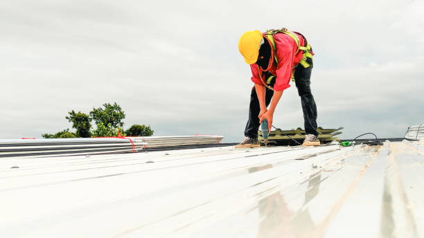 Best Chimney Flashing Repair  in Warrensburg, MO