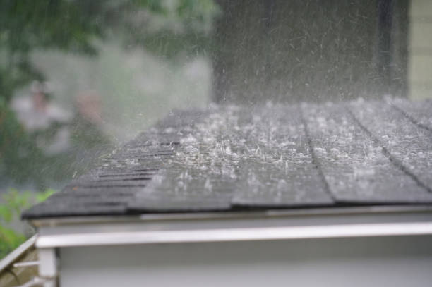 Best Asphalt Shingles Roofing  in Warrensburg, MO