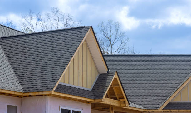 Best Roof Leak Repair  in Warrensburg, MO