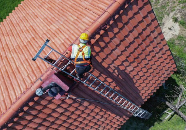 Best Emergency Roof Repair Services  in Warrensburg, MO