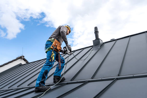 Best Roof Insulation Installation  in Warrensburg, MO